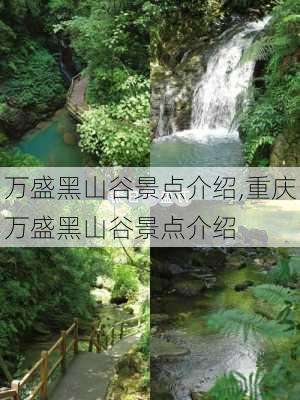 万盛黑山谷景点介绍,重庆万盛黑山谷景点介绍