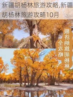 新疆胡杨林旅游攻略,新疆胡杨林旅游攻略10月