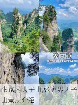 张家界天子山,张家界天子山景点介绍