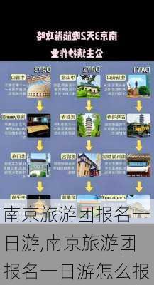 南京旅游团报名一日游,南京旅游团报名一日游怎么报